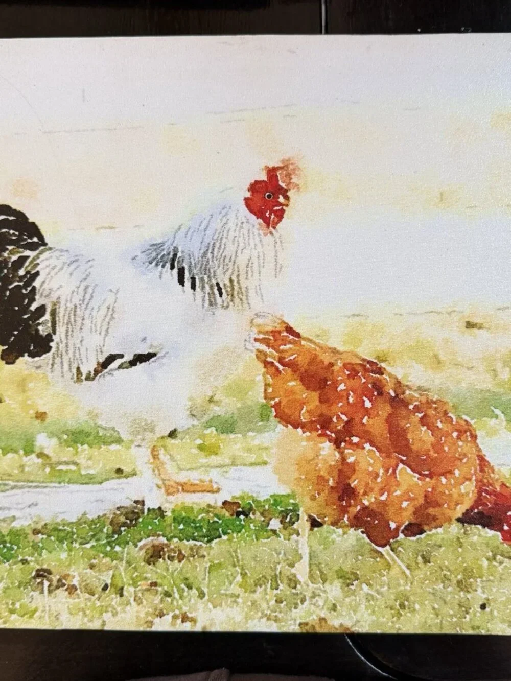 Rooster Hen Chicken Birds Original Painting Signed Artwork Art Farmhouse Decor